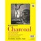 Strathmore 300 Series Charcoal Paper Pad, Glue Bound, 9x12 inches, 32 Sheets (64lb/95g) - Artist Paper for Adults and Students - Charcoal and Pastel